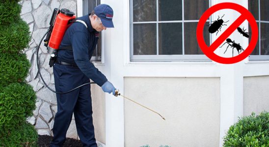 Akıncılar Akrep İlaçlama böcek ilaçlama ve haşere kontrolü — ilaclama-tr.com